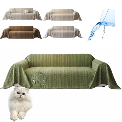 Lifetips GL]`bNOwA Exotic Longhair \t@[Jo[ k  􂦂 h }`Jo[ 2l| 3l| It IȂ ~ Eh~ LΉ lGʗp iO[j i130180CMj