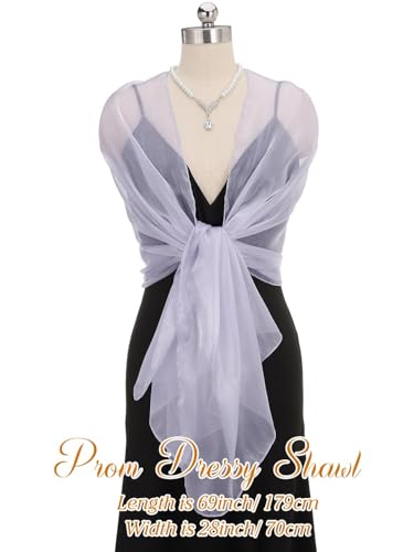 EASEDAILY Women's Shawls and Wraps for Evening Dresses Sparkling Wedding Scarf Sheer Bridal Stole for Bride and Bridesmaid3