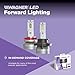 Wagner Lighting H11LED LED Forward Light