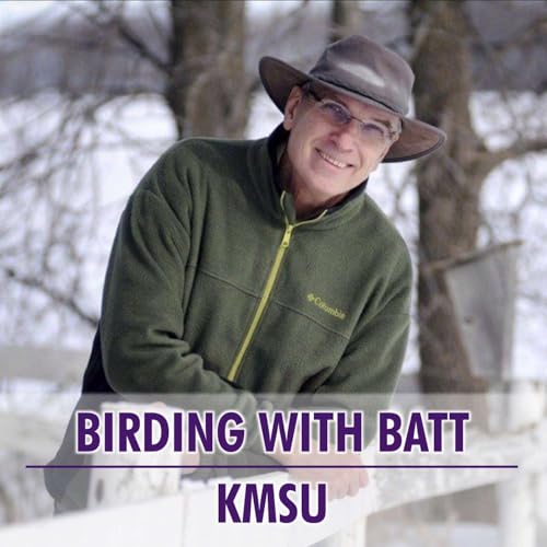 KMSU Birding With Batt cover art
