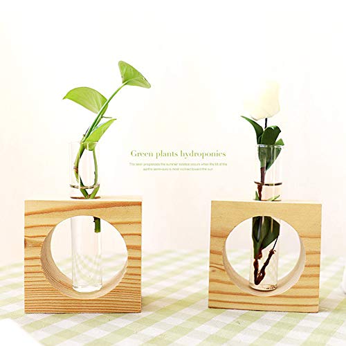 XWU Vaso de Vidro, Tubo de teste de vidro cristal planta terrário vaso vasos de flores para plantas