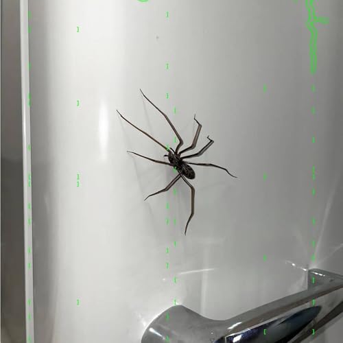 Imán decorativo de araña 3D para refrigerador, 4 pulgadas miniatura 3