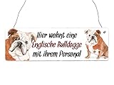 Interluxe Holzschild - Hier wohnt eine Englische Bulldogge - Schild mit Spruch, Warnschild oder Hundeschild als Geschenk für Menschen mit Hund
