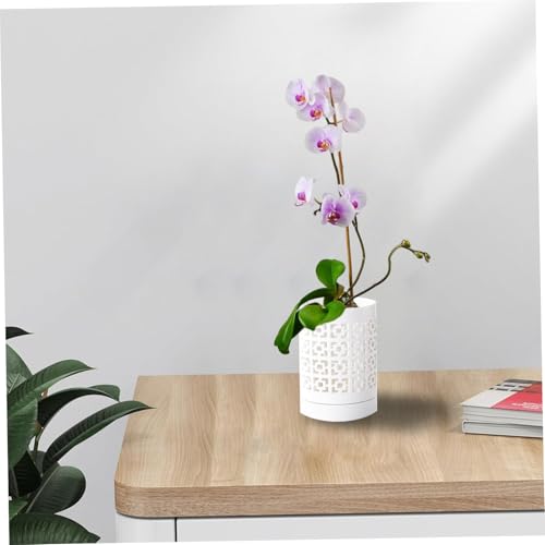 Pots à orchidées avec trous pot de rempotage céramique respirant Jorzer 10cm - 4