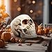 READAEER Resin Skull, Human Head Model for Home Decoration, Halloween Statue, Skull Model for Bookshelf and Desktop (White)