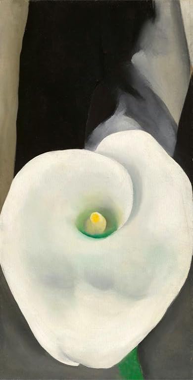 Affiche et impressions abstrait Georgia O'Keeffe Calla Lily peinture sur toile 50x100cm