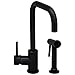 Whitehaus Collection WH2070826-ORBH Jem Collection Faucet, Oil Rubbed Bronze Highlight