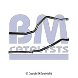 Garantie: 2 Jahre Garantie Bm Catalysts BM50060 Abgasrohr