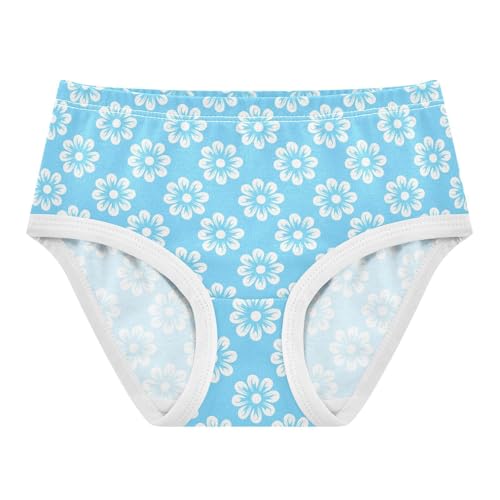 Flowers Floral Blue Toddler Girls's Underwear 2T 2302913