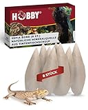 Hobby Terraristik Sepia Schalen 15-20 cm I 8 Stück I natürliche Mineralquelle aus Tintenfischschulp I Kalziumquelle für Land-, Sumpf- und Wasserschildkröten, Echsen, Nager und Ziervögel I Sepia Bone