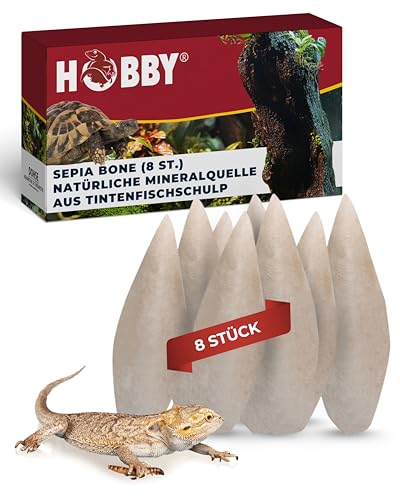 Hobby Terraristik Sepia Schalen 15-20 cm I 8 Stück I natürliche Mineralquelle aus Tintenfischschulp I Kalziumquelle für Land-, Sumpf- und Wasserschildkröten, Echsen, Nager und Ziervögel I Sepia Bone