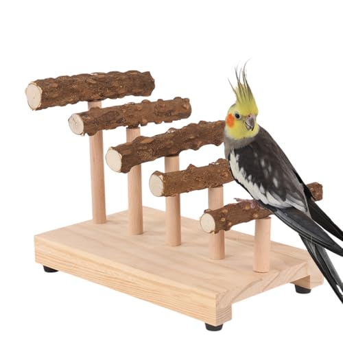 Bird Tabletop Playground Pepper Wood Parrot Stand Stable Base Parrot Stand Bird Perch Parrot Perch Peppered Wood Bird Stand Office Birds Parrot Toys Parrot Training Stand