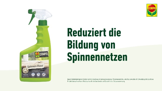 saatgut bienenweide Bienenweide kaufen main image 1