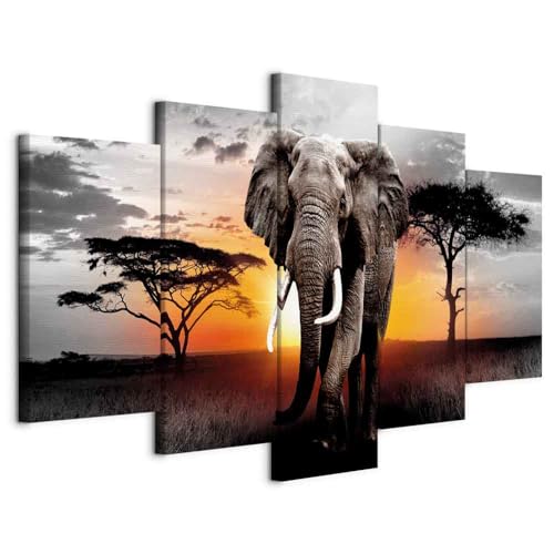 murando - Leinwand Bilder Afrika 200x100 cm Vlies Leinwandbild 5 tlg...