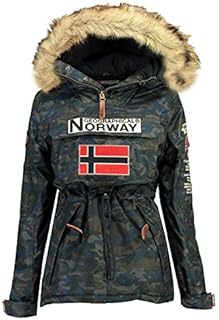 Geographical Norway