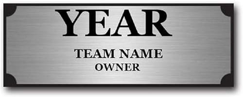 TrophySmack Placa ganadora Placa de nombre grabada personalizable Premio de campeón de trofeo de fútbol de fantasía (plata o negro)