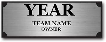 TrophySmack Engraved Name Plate, Fantasy Football Trophy Champion Award