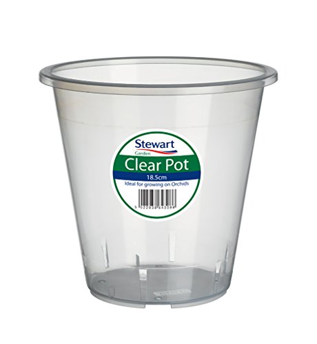 Clear Orchid Pot 13cm by Stewart Garden Products