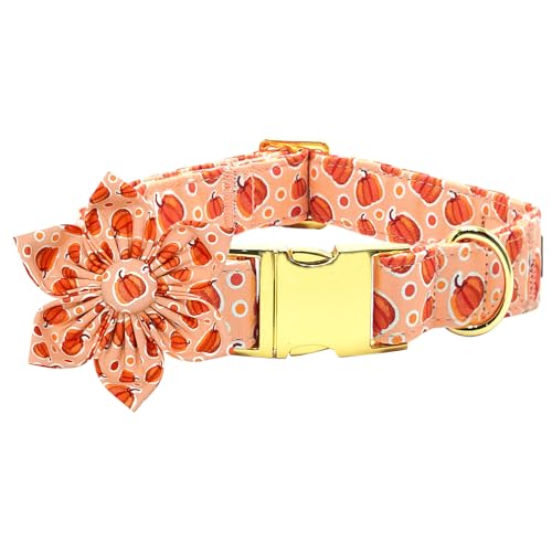 Bobo Rainbow Dog Collar Halloween Fall Orange Pumpkin Print Pet Collar Soft Cute Dog Collars with Flower Adjustable Metal Buckle Collar for Large Dogs