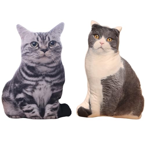  L A NbV  킢 ʂ {   ӂӂ 50cm @\ ܂ w YQ Q pbh 3D (a) [sAi]