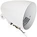 RAB Lighting HB101W Bullet Shape Par Floodlight, PAR38 Type, Aluminum, 150W Power, White