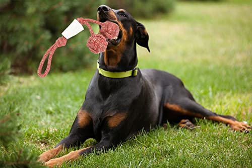 Crazy Tails Dog Rope Toy For All Puppy Breeds Toys For Teething Small Dogs-Knotted 2 Balls With Bone #TOP6