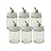 Paasche Airbrush VL-1-OZ-6P Assembly 1oz Glass Airbrush Paint Bottle, Clear