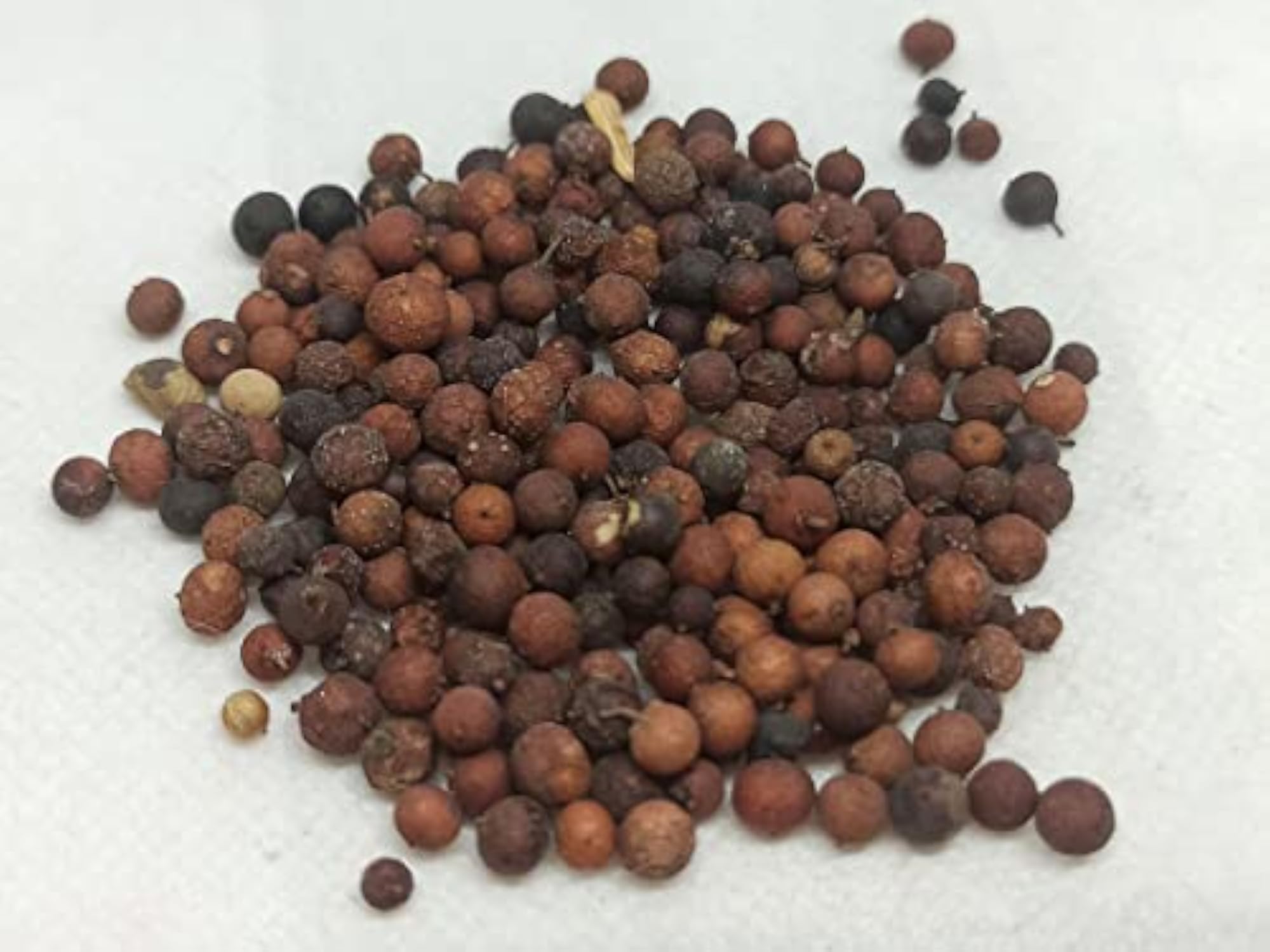 False Pepper (VaaI Vidagam), 250 Grams