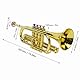 Trompete, Bb Standard Trompeten Set, Metallische Goldenes Kindertrompetenspielzeug mit 4 Farbigen Tasten Für Weihnachtsmusikgeschenke zu Hause, in Der Schule