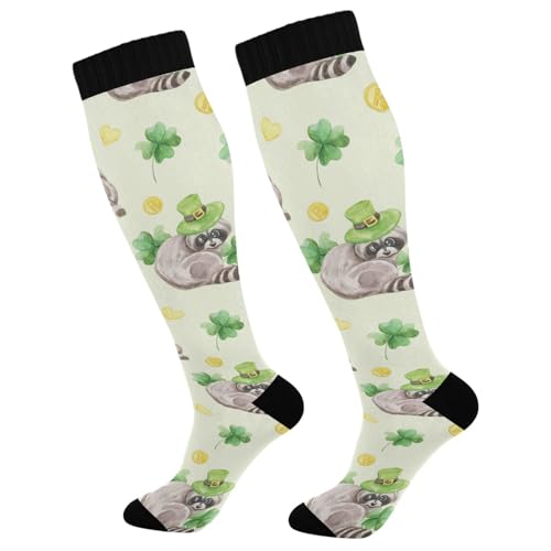 Patricks Day Coins Clover Raccoon Compression Socks for Women Men Christmas Circulation Long Knee Socks for Winter Warm Stockings Socks