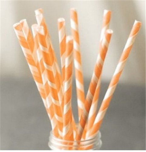 Paper Straws Pack of 144 Peach