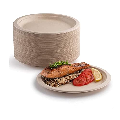 50 platos de papel súper rígidos, 100% biodegradables y compostables, respetuoso con el medio ambiente, resistente, reciclable, perfecto para barbacoas de pícnic (9 pulgadas)