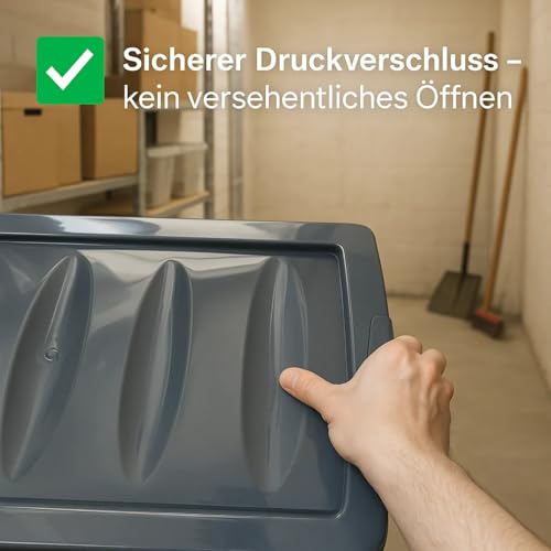 BigDean 3x 60 L Aufbewahrungsbox mit Deckel groß Budget Line Plastikbox mit Deckel