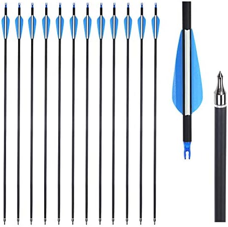 Carbon Archery Target Hunting Practice Arrows 30 Inch for Shooting with Recurve Compound Bows (Pack of 12) Carbon Archery Target Hunting Practice Arrows 30 Inch for Shooting with Recurve Compound Bows (Pack of 12)