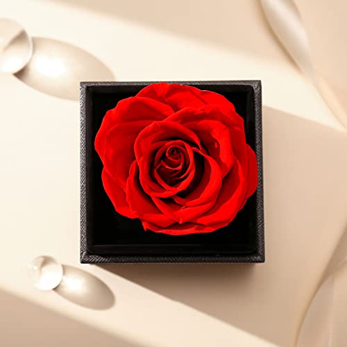 Aselfad Preserved Flowers Red Real Rose With Rose Gold Infinity Heart Necklace -Rose Gifts For Mom Wife Girlfriend On Mothers Day Valentines Day Christmas Birthday Anniversary I Love You Gifts For Her #TOP2