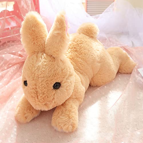 [LSDZW] ETM ܂ Aj} ʂ lP ETM X e ₷ s[ Q  NbV l炵 a ̓ ̓ g܂ YQ o^Cf[ ޏ Mtg   v[