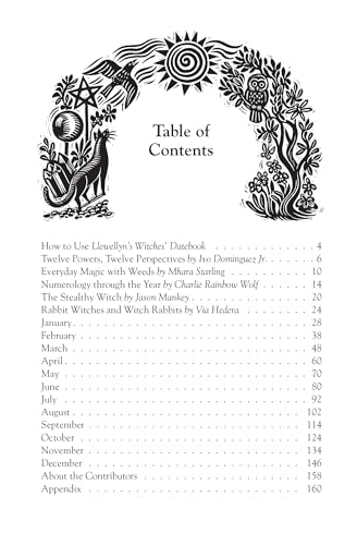 Embrace the Magic: Our Journey with Llewellyn's 2025 Datebook