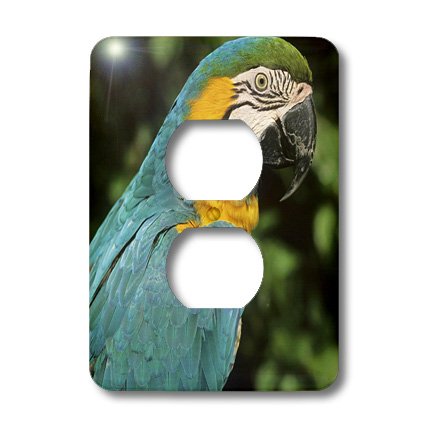 Ara bleu et jaune oiseau tropical Brésil plaque décorative 2 prises