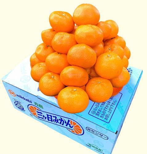 �y���B�݂��� �G�i�z��Q.�Tkg ���E�������uJapanese Orange�v�̔����������Ĕ��� �Y�n���ϔ� �����ɂ� �M�t�g �y����ŏn����A�N�x�ێ� �����①�ɂōX�ɏn���z