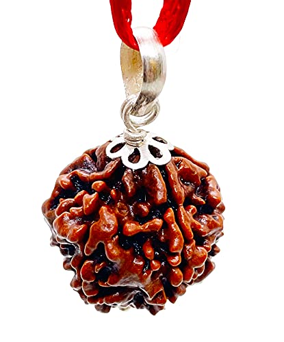 Image of Siddha 5 / Five Mukhi Pure Rudraksha, Laboratory Certified.