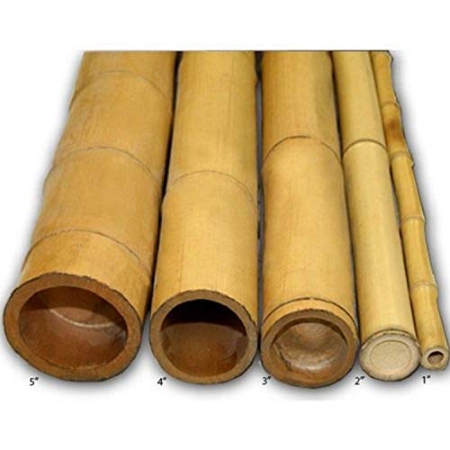 Backyard X-scapes Natural Bamboo Poles 2in x 8ft (10Pieces)