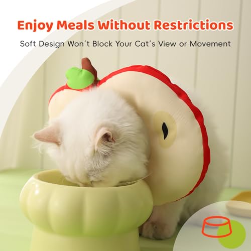 Collar protector para gato antilameduras ajustable dona L 7
