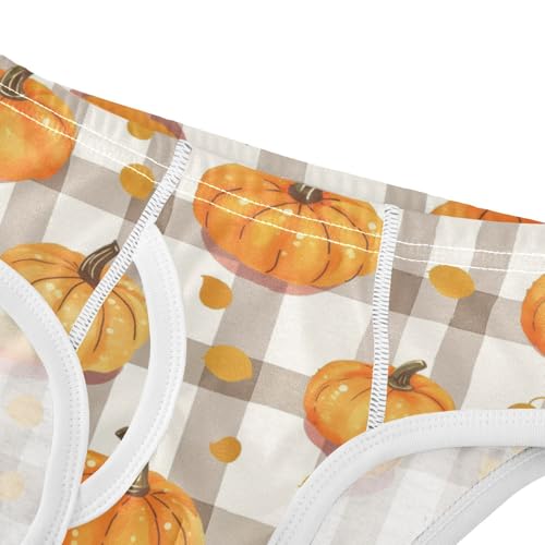 Wusikd Pumpkins Boys' Underwear Cotton Colorful Gingham Boys Briefs Soft Toddler Underwear 2T4