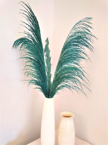 Pampas Grass Grande Natural 80-120cm 12 unidades miniatura 7