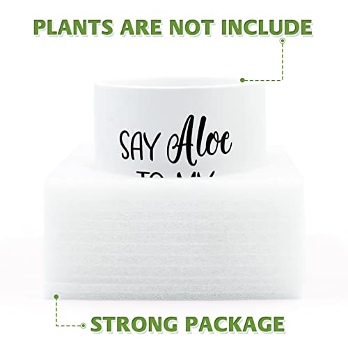 Tuitessine Say Aloe To My Little Friend Planter Plant Lover Set Of 2 Spring Funny Pun Flower Pot With Bamboo Tray Ceramic Indoor Succulent Hole Spring Summer Birthday Housewarming Gifts (No Plants) #TOP4