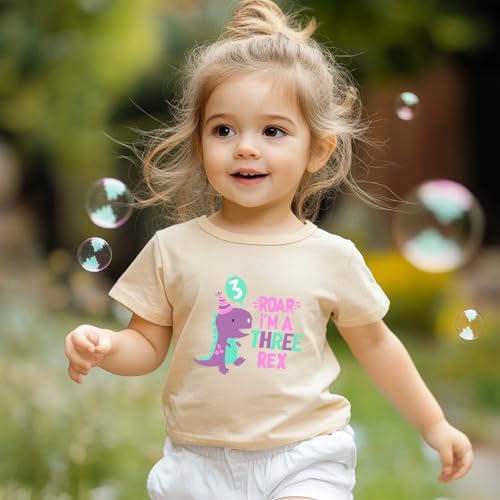 Image of 3rd Birthday Shirt Girl Dino Themed Party Outfit Clothes Toddler Birthday Girl Shirt 3 Three Years