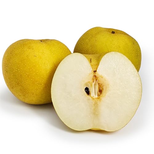 VÐ w_Ew엿sgp 挧Y Ȃ iV ԗ (1kg)