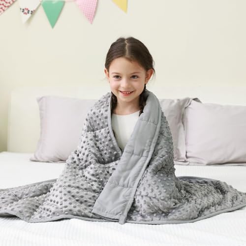 Image of Mr. Sandman Weighted Blanket 3LBS 36 x 48 Inches, Minky Dots Heavy Blanket with Glass Beads, Soft and Cooling for School and Home, Grey