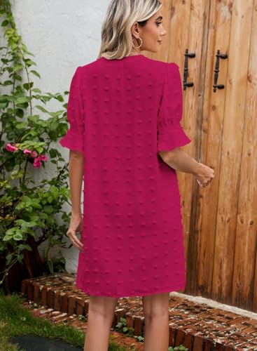 Image of QACOHU Summer Dresses for Women V Neck Ruffle Short Sleeve Casual Shift Dress
