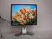 Dell 1908FP 19" flat panel monitor - 1908FPC